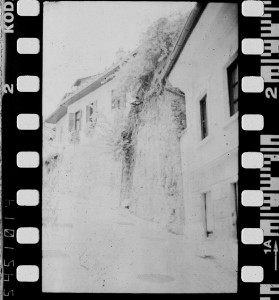 One more roll developed... 3