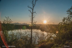 Zbilje and some spiders 1