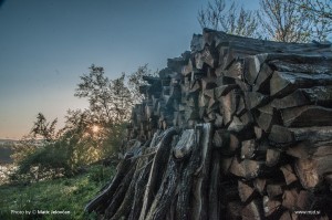 Zbilje and some spiders 2