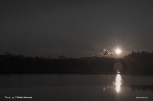 Zbilje and some spiders 3