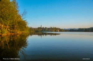 Zbilje and some spiders 4