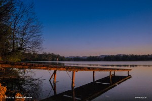 Zbilje and some spiders 5