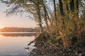 Zbilje and some spiders 6