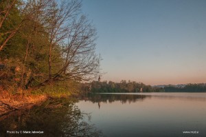 Zbilje and some spiders 7