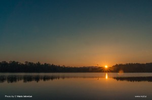 Zbilje and some spiders 8