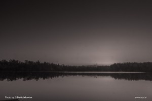 Zbilje and some spiders 9