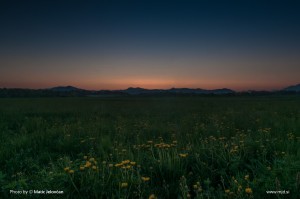 Zbilje and some spiders 10