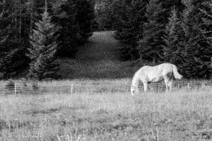 Photo: Matic Jelovčan, www.mj-d.si © Some Rights Reserved (CreativeCommons BY-NC-SA)