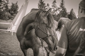 Photo: Matic Jelovčan, www.mj-d.si © Some Rights Reserved (CreativeCommons BY-NC-SA)