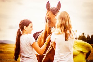 Photo: Matic Jelovčan, www.mj-d.si © Some Rights Reserved (CreativeCommons BY-NC-SA)