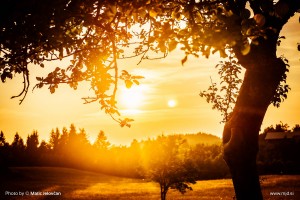 Photo: Matic Jelovčan, www.mj-d.si © Some Rights Reserved (CreativeCommons BY-NC-SA)