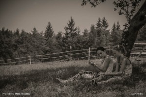 Photo: Matic Jelovčan, www.mj-d.si © Some Rights Reserved (CreativeCommons BY-NC-SA)