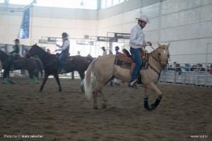 Fieracavalli 2015 23
