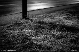 Lonely Christmas 4