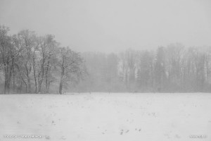 Infinite amount of grays 8