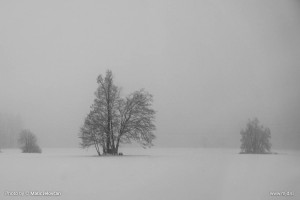 Infinite amount of grays 5