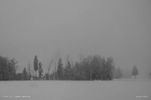 Infinite amount of grays 9