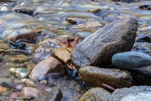 Long exposures without an ND filter 20