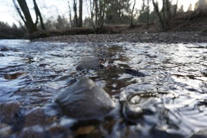 Long exposures without an ND filter 4