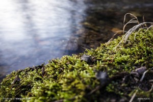 Long exposures without an ND filter 22
