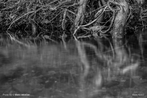 Long exposures without an ND filter 26