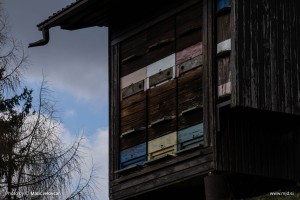 20160224 DSC07109 300x200 - An old beehive shed
