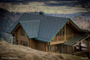 20160224 DSC07130 300x200 - The Log House