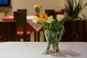 Barbara Inn is now open 12