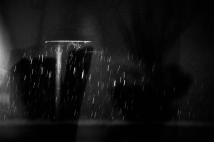 Barbara Inn is now open 51