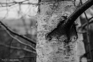 This last friday hike 4