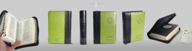 zepna zelenamodra 384x102 - New Bible Designs for the Bible Society of Slovenia